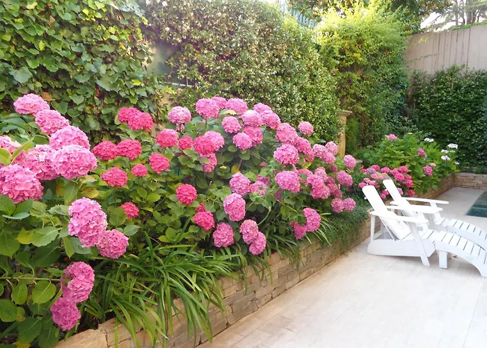 B&B Villa Feline Cannes